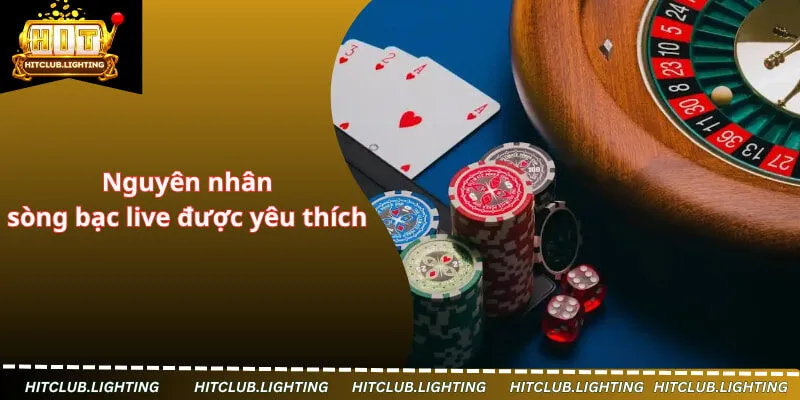 Nguyên nhân sòng bạc live được yêu thích